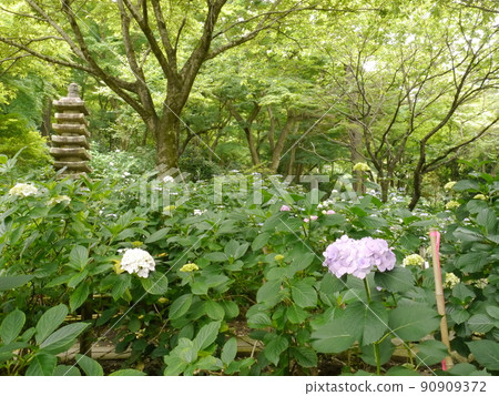 繡球名勝高畠不動尊 90909372