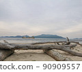 天然浮木海景沿海天然浮木椅 90909557