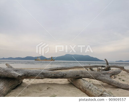 天然浮木海景沿海天然浮木椅 90909557