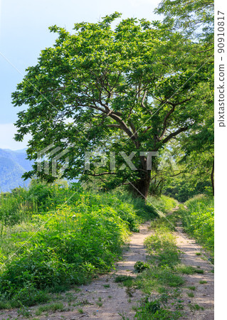 Off-road Off-road 90910817