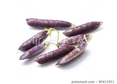 Tutankhamen's peas, peas, freshly harvested vegetables, healthy vegetables Tutankhamen's peas, peas, freshly harvested vegetables, healthy vegetables 90913951