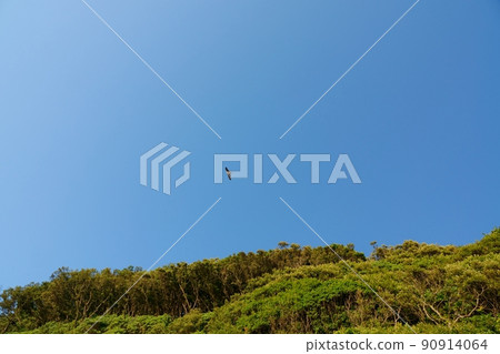 Refreshing summer blue sky and green mountains 210530PM 90914064
