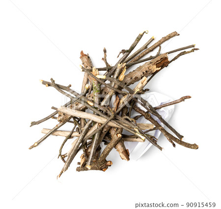 Branches Pile Isolated 90915459