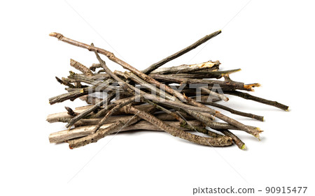 Branches Pile Isolated 90915477