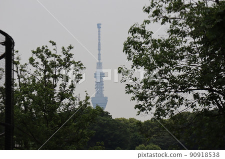 在藍天綠樹的森林之外，可以看到天空樹頂端的景觀 90918538