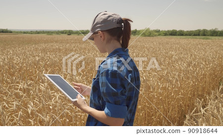 farmer with digital tablet examines ripening grain field. modern farm. farming young wheat concept. agriculture rural farm land. harvesting ears wheat rural field. agronomist with tablet in his hands farmer with digital tablet examines ripening grain field. modern farm. farming young wheat concept. agriculture rural farm land. harvesting ears wheat rural field. agronomist with tablet in his hands 90918644