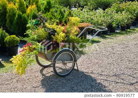 Shopping cart full of young garden plants in plastic pots, saplings of bushes, seedling of flowers at plant nursery. Shopping cart full of young garden plants in plastic pots, saplings of bushes, seedling of flowers at plant nursery. 90919577