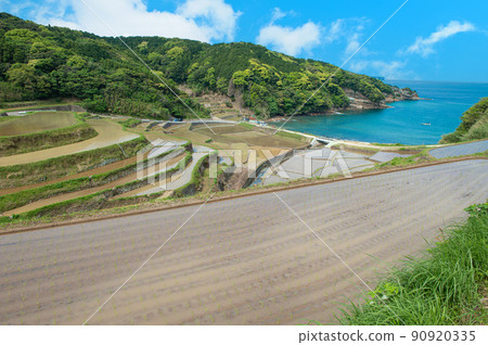 Hamanoura terraced rice fields filled with water 90920335