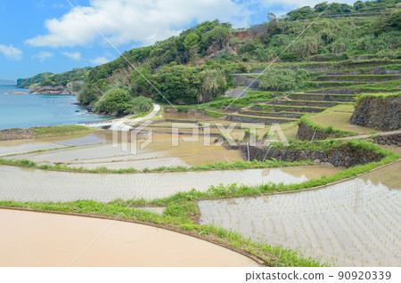 Hamanoura terraced rice fields filled with water Hamanoura terraced rice fields filled with water 90920339