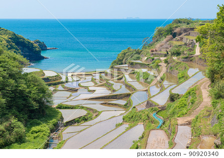 Hamanoura terraced rice fields seen from the observatory Hamanoura terraced rice fields seen from the observatory 90920340