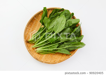 菠菜菠菜蔬菜 90920405