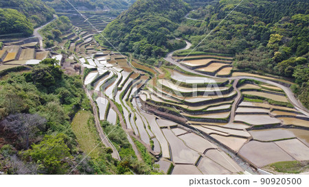 Hamanoura terraced rice fields filled with water, drone photography Hamanoura terraced rice fields filled with water, drone photography 90920500