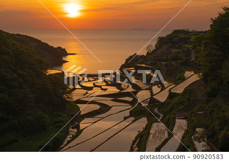Sunset and terraced rice fields in Hamanoura Sunset and terraced rice fields in Hamanoura 90920583