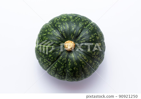 pumpkin pumpkin 90921250
