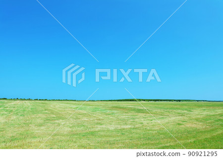 北海道夏日藍天和廣闊草原風光 北海道夏日藍天和廣闊草原風光 90921295