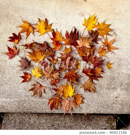 心形的落葉 心形的落葉 90921586