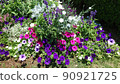 花 90921725
