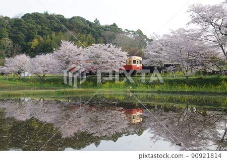 小湊鐵道板部站櫻水鏡羽200 90921814