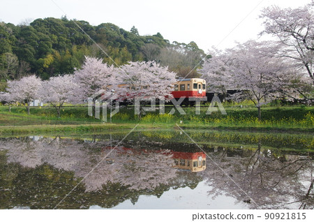 小湊鐵道板部站櫻水鏡羽200 90921815