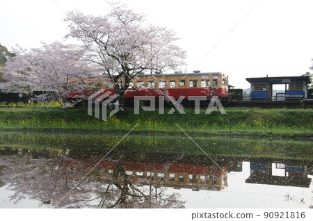 小湊鐵道板部站櫻水鏡羽200 90921816