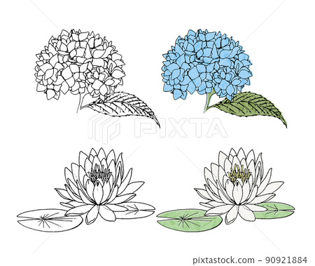 繡球花和蓮花矢量圖 90921884