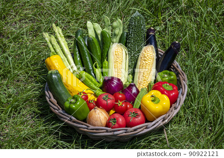 籃子裡的夏季蔬菜 籃子裡的夏季蔬菜 90922121
