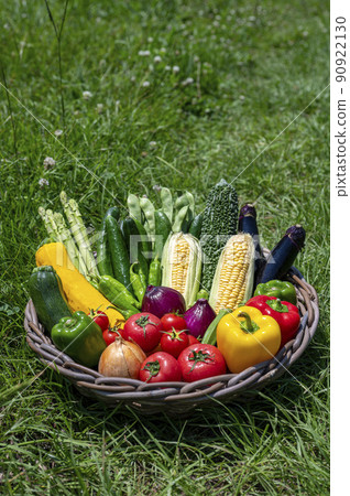 Summer vegetables in a basket Summer vegetables in a basket 90922130