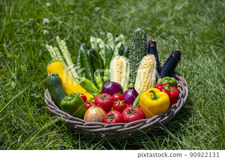 Summer vegetables in a basket Summer vegetables in a basket 90922131