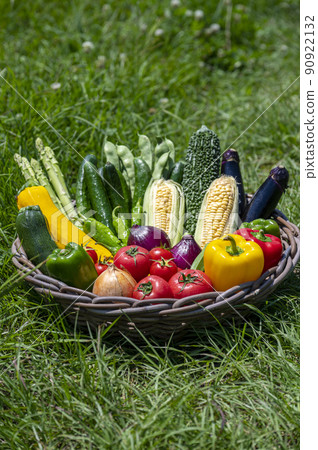 Summer vegetables in a basket Summer vegetables in a basket 90922132