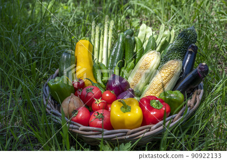 Summer vegetables in a basket Summer vegetables in a basket 90922133