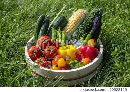 籃子裡的夏季蔬菜 籃子裡的夏季蔬菜 90922139