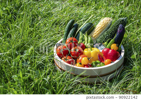 Summer vegetables in a basket Summer vegetables in a basket 90922142