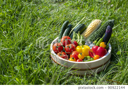 Summer vegetables in a basket Summer vegetables in a basket 90922144