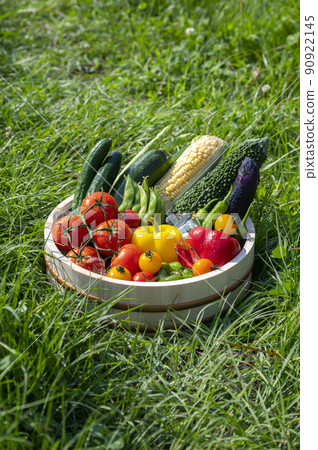 Summer vegetables in a basket 90922145