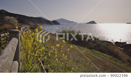 Spring Sea of Japan and cherry blossoms 90922396