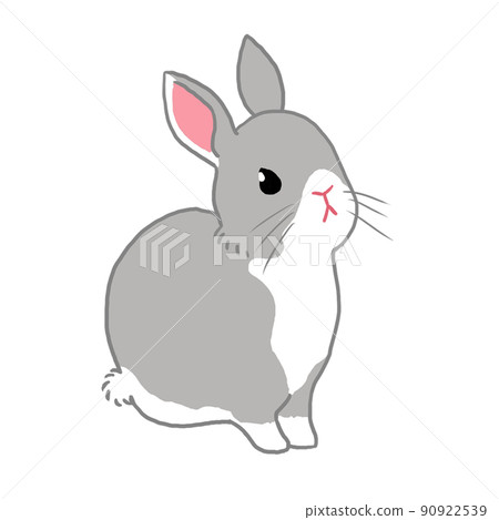 一隻灰色的兔子坐了一點 90922539