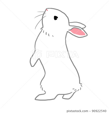 兩條腿站立的白兔 兩條腿站立的白兔 90922540