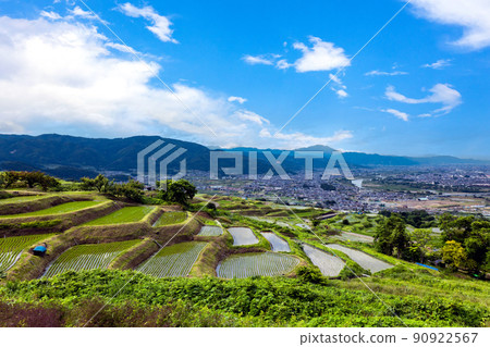 Rice terraces of Nagaone 90922567