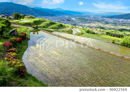  Abandoned rice terrace 90922569