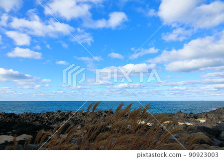 Jeju sea and Jeju scenery I met during my trip Jeju sea and Jeju scenery I met during my trip 90923003