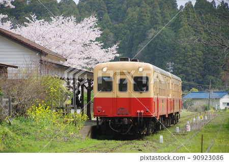 小湊鐵道月崎站的 Sakura Kiha 200 小湊鐵道月崎站的 Sakura Kiha 200 90923086