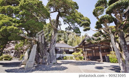 阿布鎮名護村和大覺寺 阿布鎮名護村和大覺寺 90923095