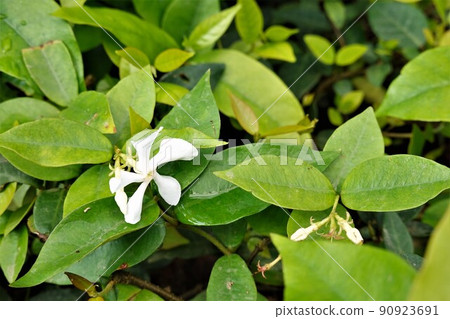 這是一個字符串。 這是一個字符串。 90923691