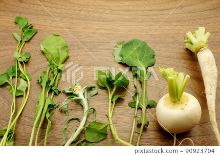 春七草七套 90923704