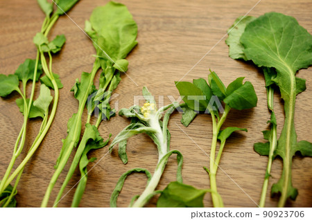 七種春藥,五種綠葉蔬菜 七種春藥,五種綠葉蔬菜 90923706