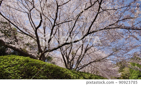 世界遺產萩反射爐 世界遺產萩反射爐 90923785