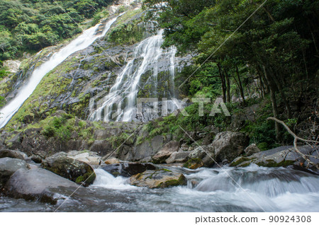 Beautiful Ohko Waterfall (Yakushima) 90924308