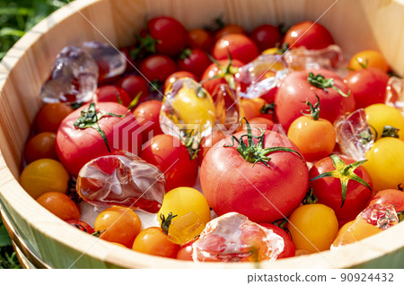 冰鎮的新鮮西紅柿 冰鎮的新鮮西紅柿 90924432