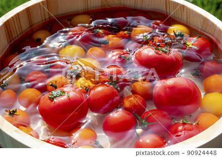 Fresh tomatoes chilled in water Fresh tomatoes chilled in water 90924448