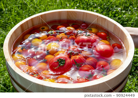 Fresh tomatoes chilled in water Fresh tomatoes chilled in water 90924449